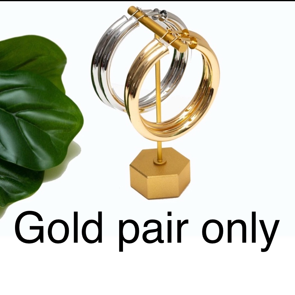 Elegant Gold Hoop Earrings